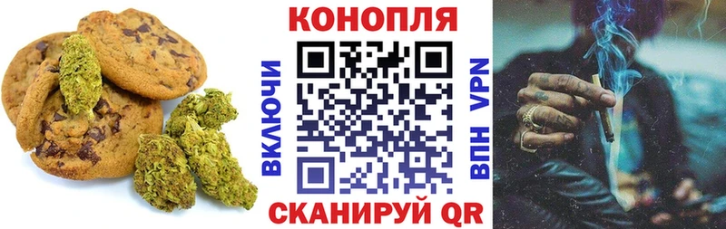 Canna-Cookies марихуана  Купить закладки  Шахунья 