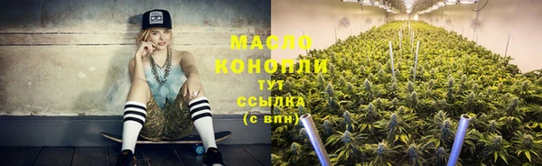 дмт Армянск